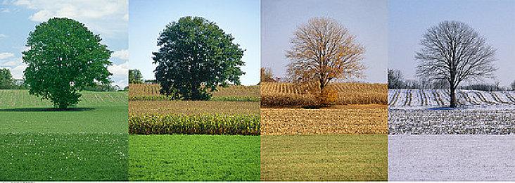 《装甲核心6》20分钟实机试玩视频