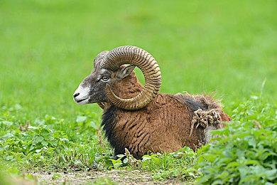 Steam数据不容乐观 育碧加码《碧海黑帆》第二年更新